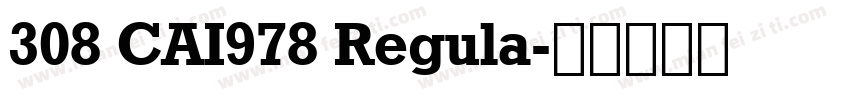 308 CAI978 Regula字体转换